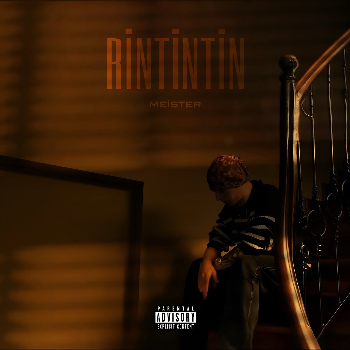 RİNTİNTİN